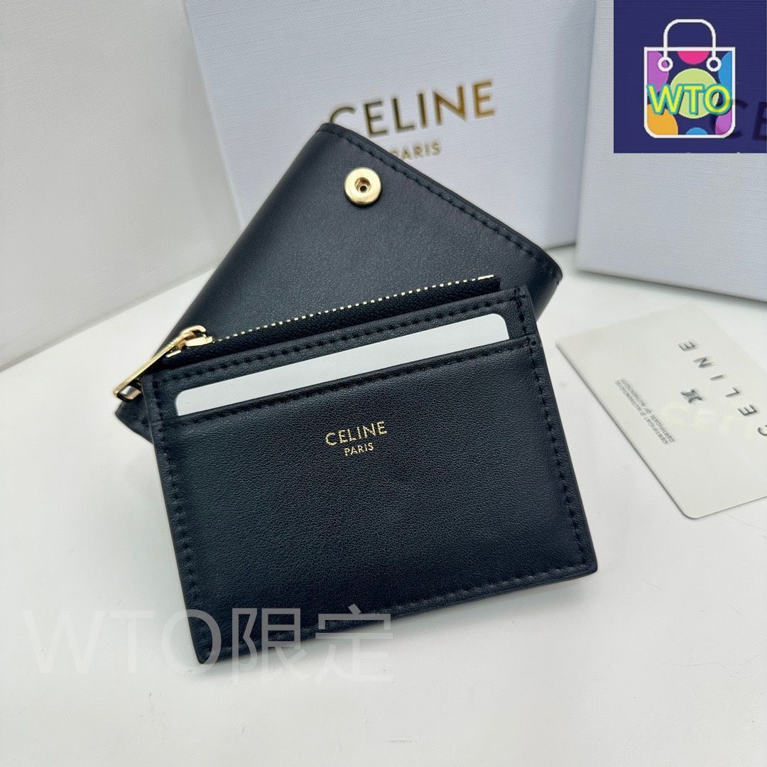 今日 Celine セリーヌ トライウンフ シリーズ レザーを使用した精巧な2点セットデザイン STEELWINDOWSANDDOORS_COM