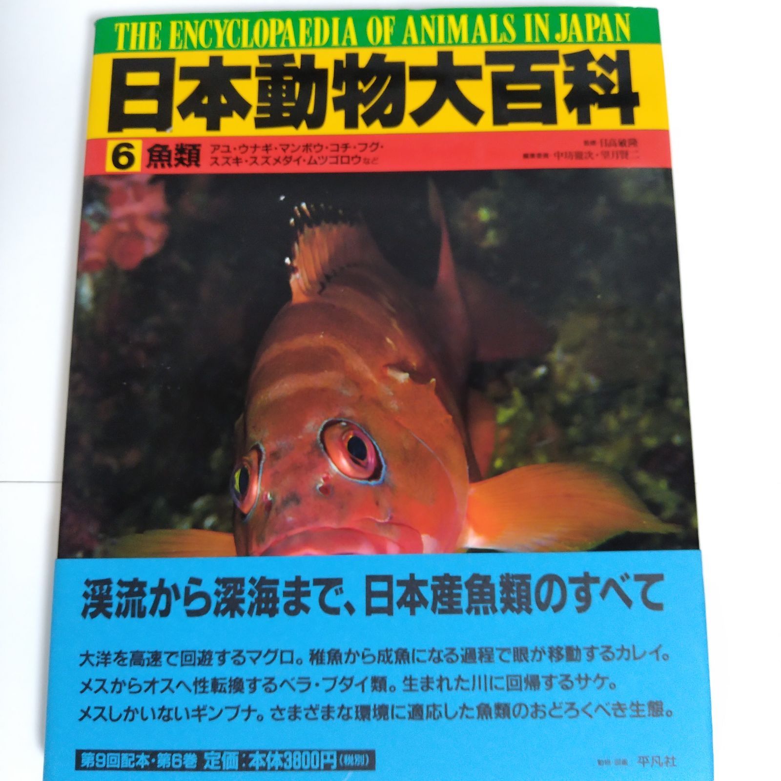 日本動物大百科 全11巻セット 平凡社 - メルカリ