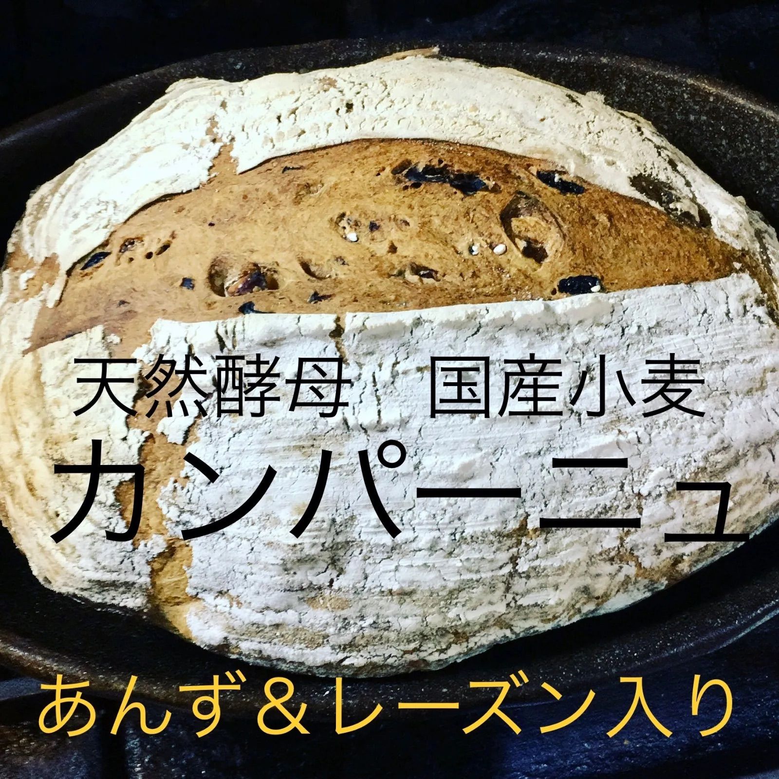 杏＆レーズンのカンパーニュ　匿名配送-0