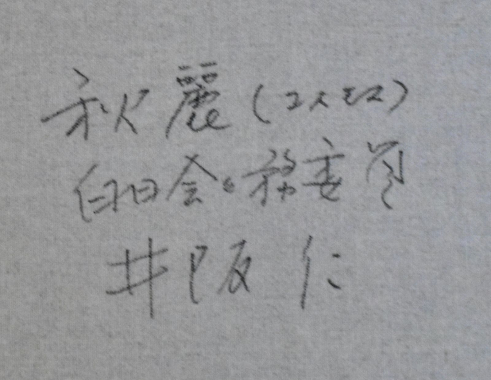 井阪　仁 「秋麗（コスモス）」油彩　箔　Ｐ１０号　真作保証　超リアルで華やか！