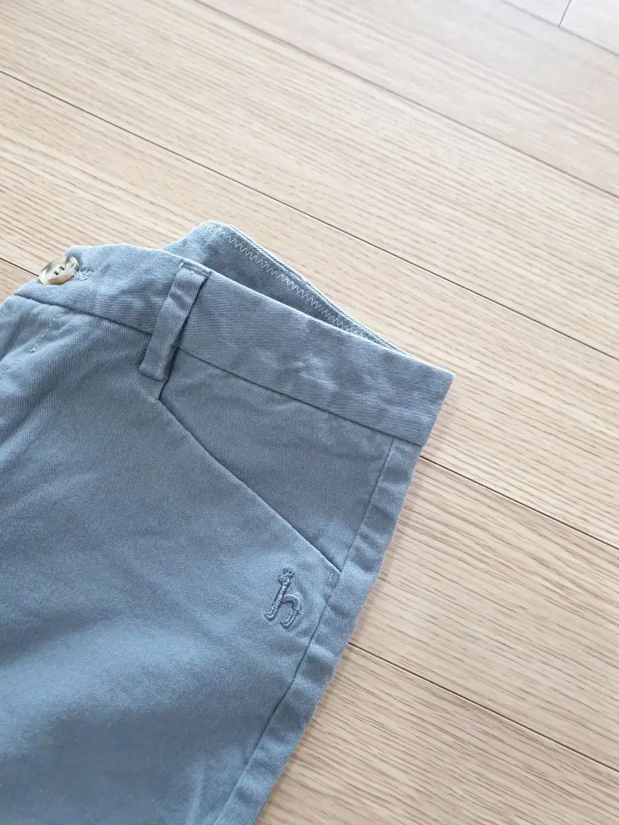 へジス