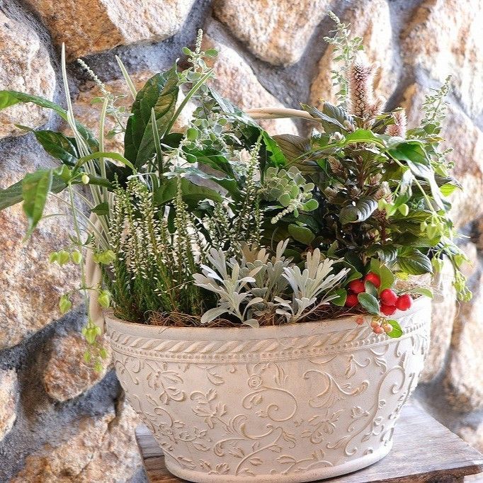 当店オリジナル 持ち手付き♪秋の草花のエレガントスタイル寄せ植え 現品１９５