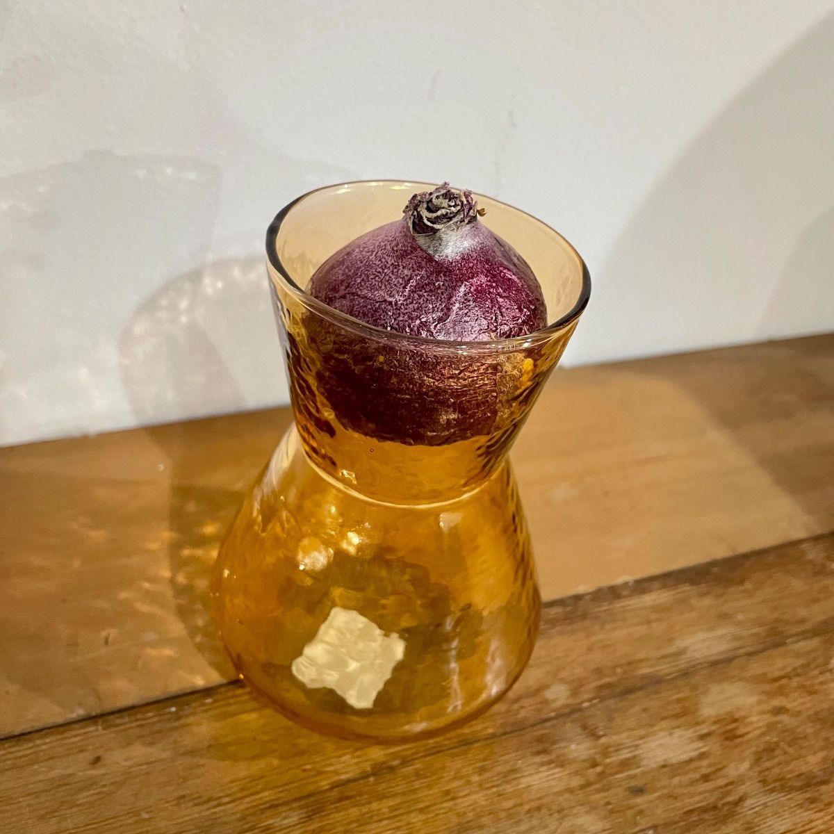 バルブベース＆色が選べるヒヤシンス球根セットA