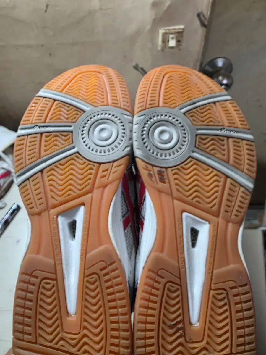 びっくりするほどの asics アシックス 宝くじ fl5 バレーボール バドミントン スポーツ大学入試 250mm 新作アイテムが満載。