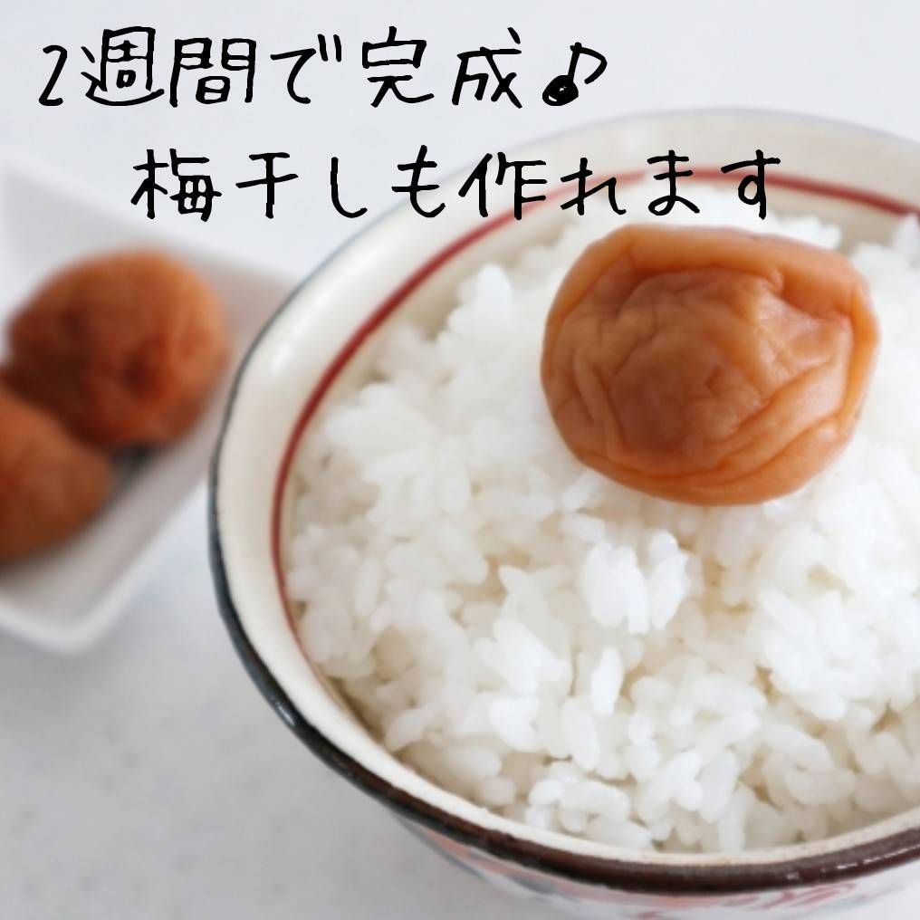 残りわずか!】冷凍完熟南高梅4kg - メルカリ 残りわずか!】冷凍完熟南高梅4kg - メルカリ
