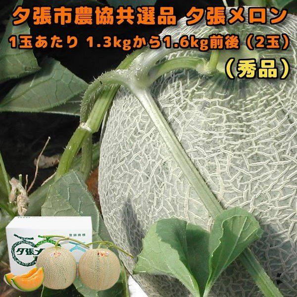 夕張メロン 2玉 秀品 夕張市農協 共選品 1玉あたり 1.3から1.6kg 前後 お中元 贈答品 お取り寄せグルメ 6月中旬か6月下旬ごろより入荷次第のお届けとなります