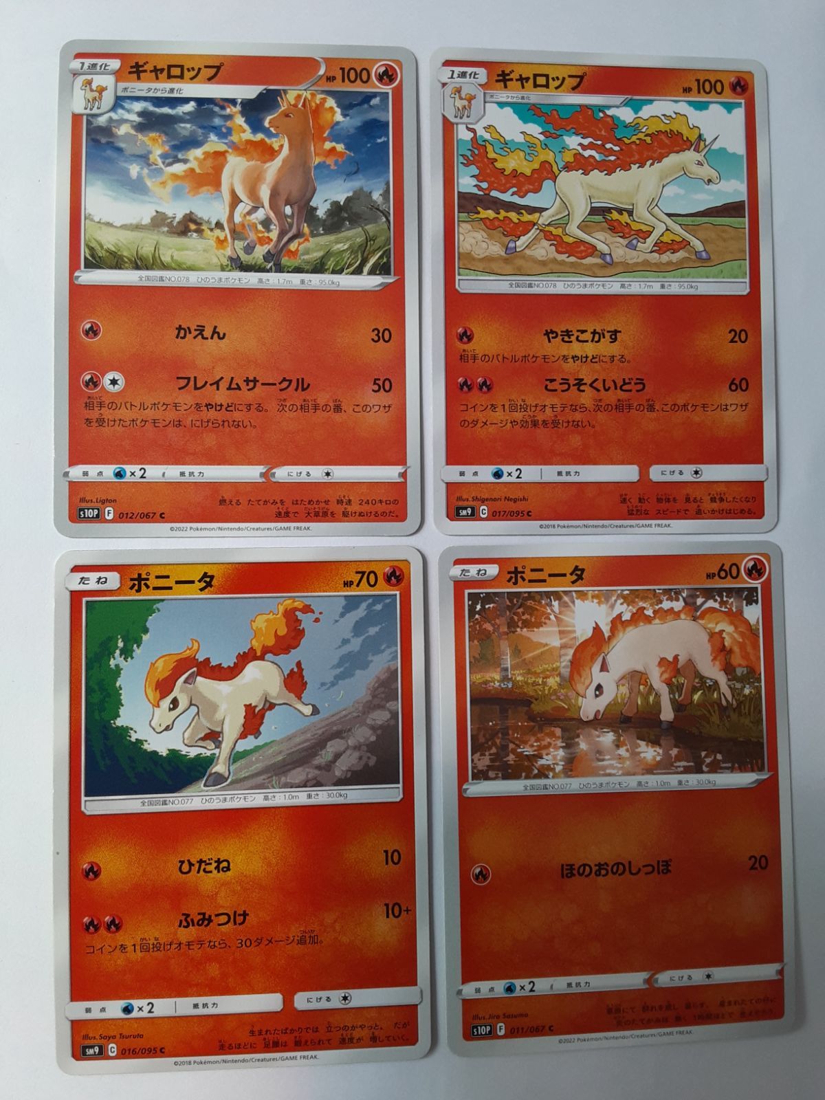 【約1000枚】　ポニータ　ギャロップ　のみ　ポケモンカード　大量　まとめ売り 旧裏面 旧裏 ポケモンカード ポニータ ギャロップ 拡張シート