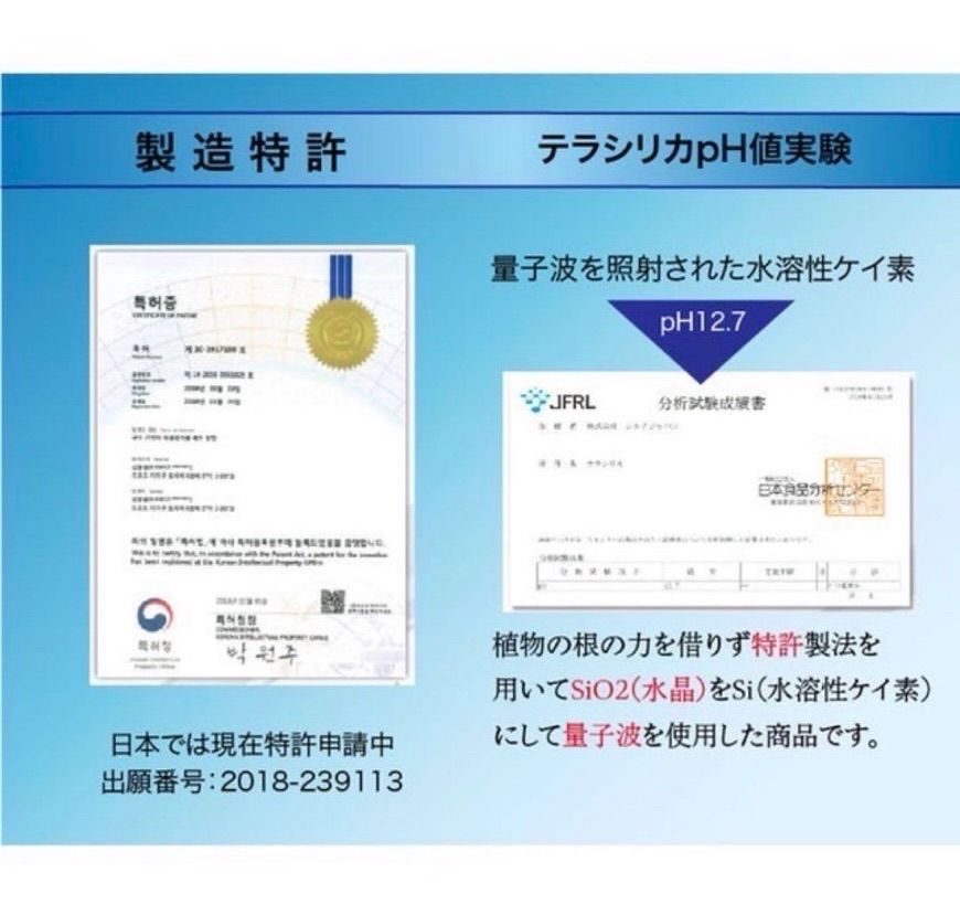 テラシリカ 珪素 ケイ素 Silk Japan シルクジャパン - メルカリ