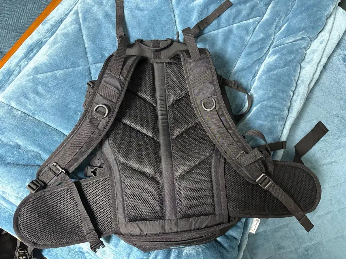 ロード 30L