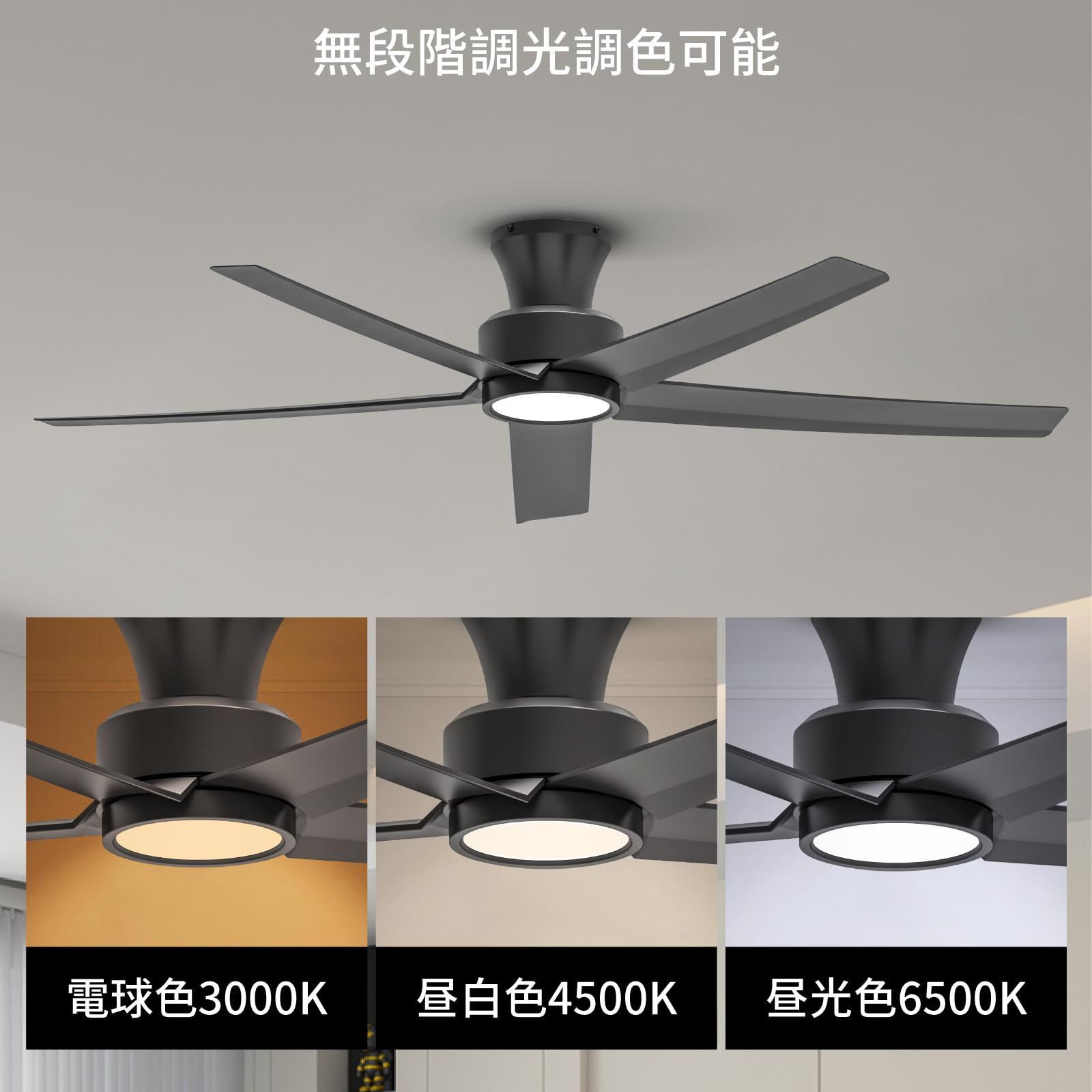 新品 【節電-5年】TALOYA シーリングファンライト 調光 調色 12