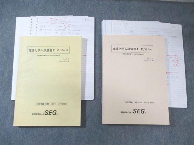 SEG (科学的教育グループ) 理論化学入試演習I/II F・G・Hクラス問題集 2023 計2冊 阿部太郎 040M0D SEG (科学的教育グループ) 理論化学入試演習I/II F・G・Hクラス問題集