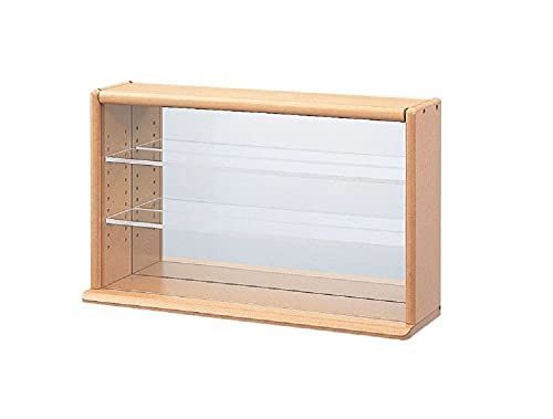 モダン_ライトブラウン ナカバヤシ コレクションケース ミニワイド 透明アクリル棚板タイプ CCM-002LS ライトブラウン