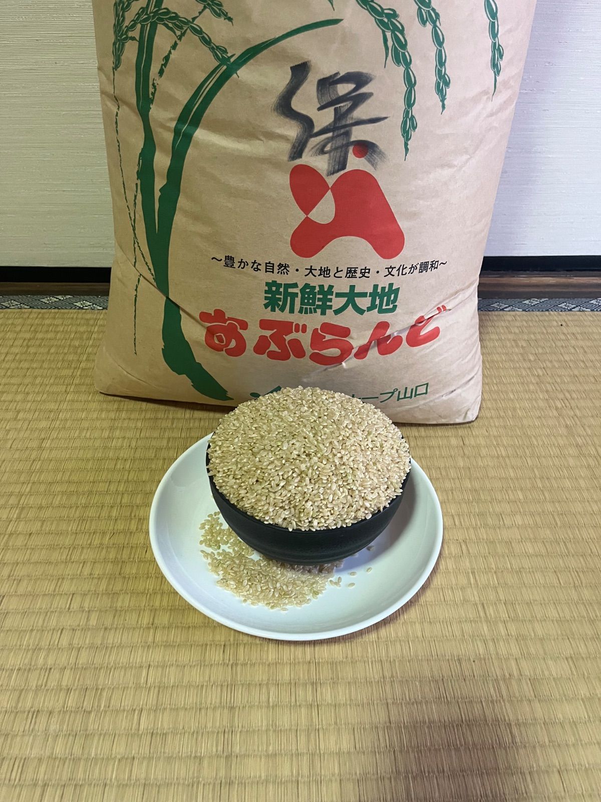 山口県産コシヒカリ 玄米