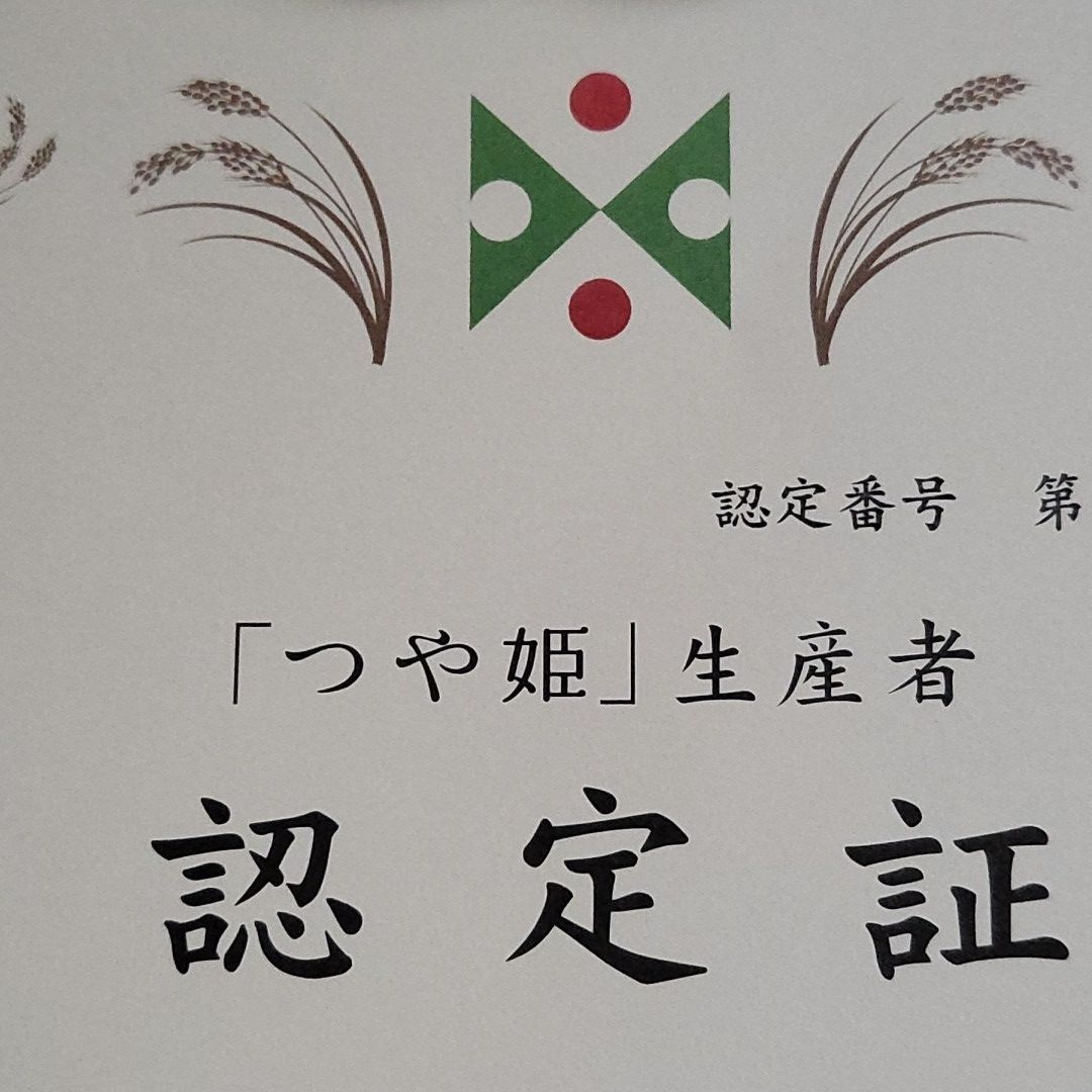 5kg×2袋 白米