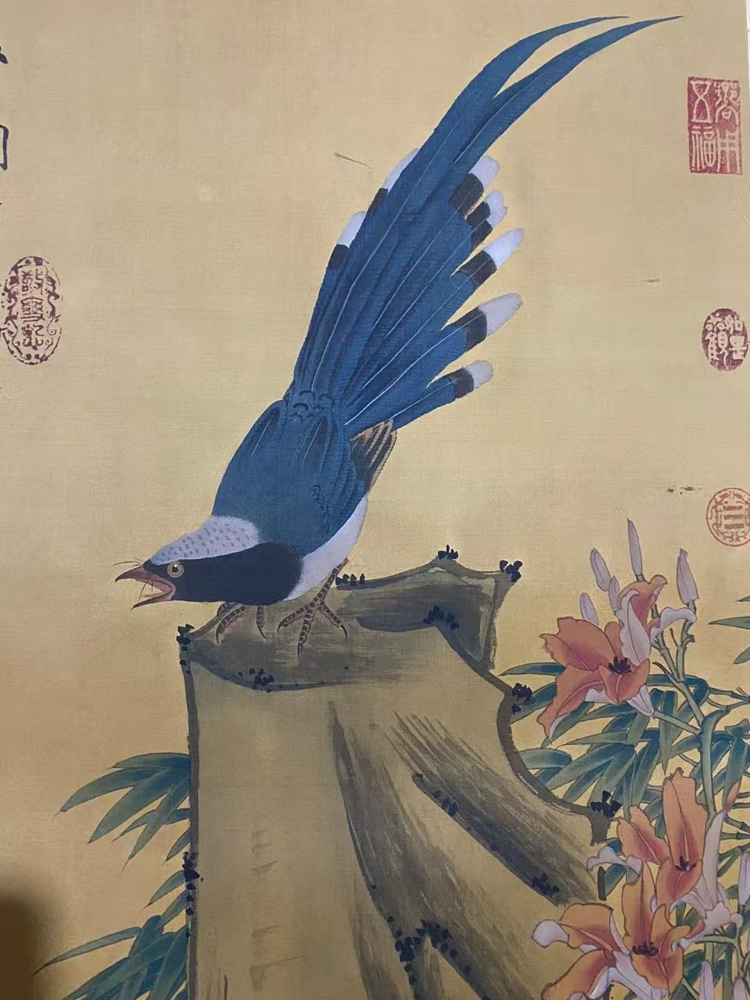 中国古美術.精品三尺中堂画.趙佶花鳥画.手描きの作品.実物撮影