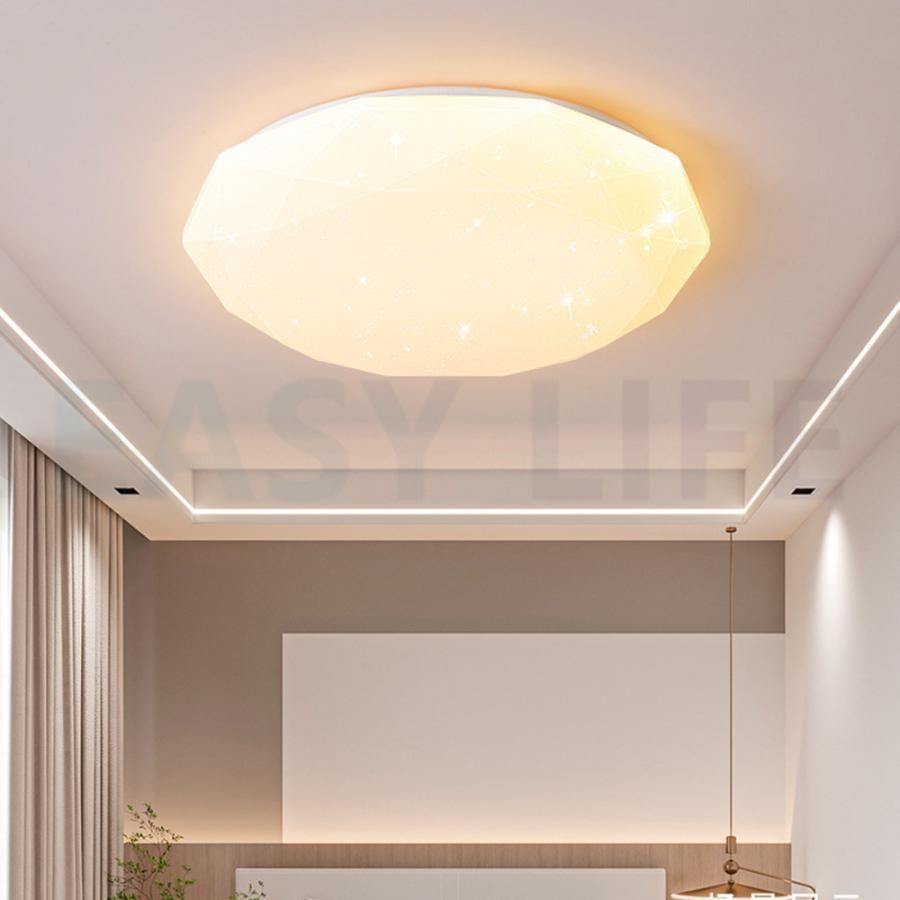 照明器具 天井照明