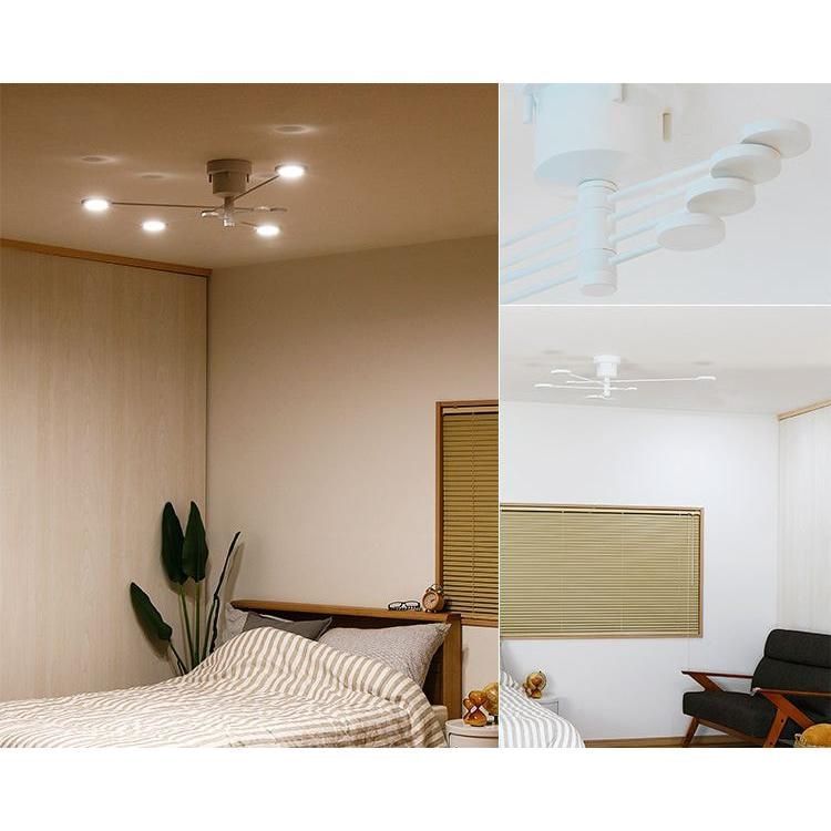 天井照明 照明器具