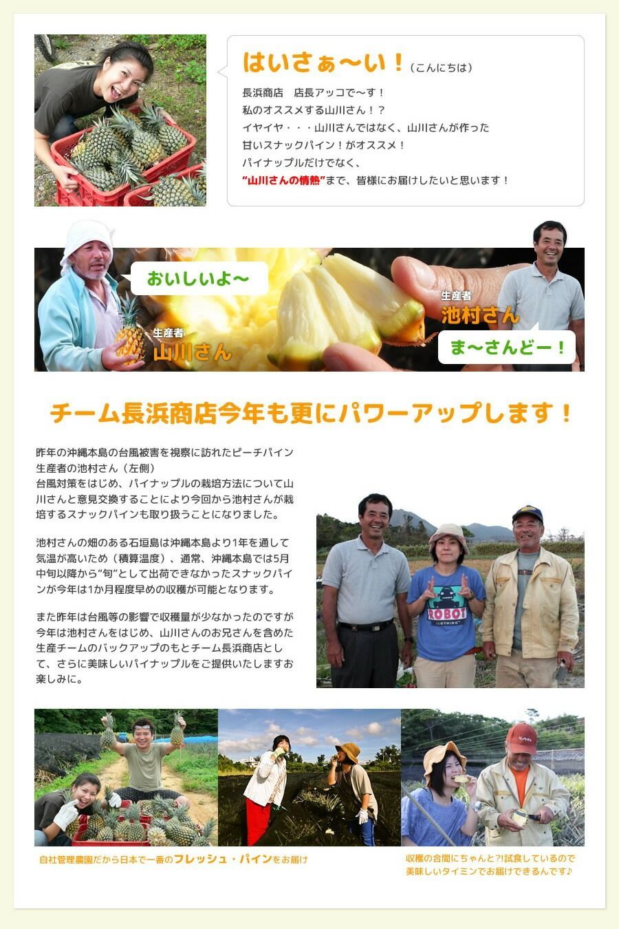 6月～7月頃発送予定