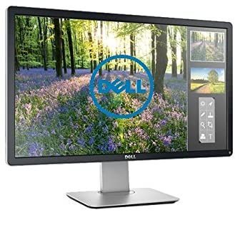 【未使用】DELL 23.8インチモニター DELL Dell モニター 23.8インチ P2422H IPSパネル 1920x1080