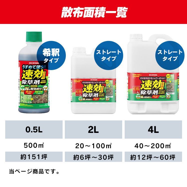 公式