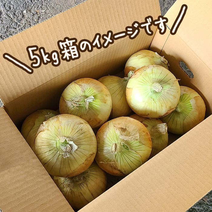 大玉20kg ひょうご安心ブランド