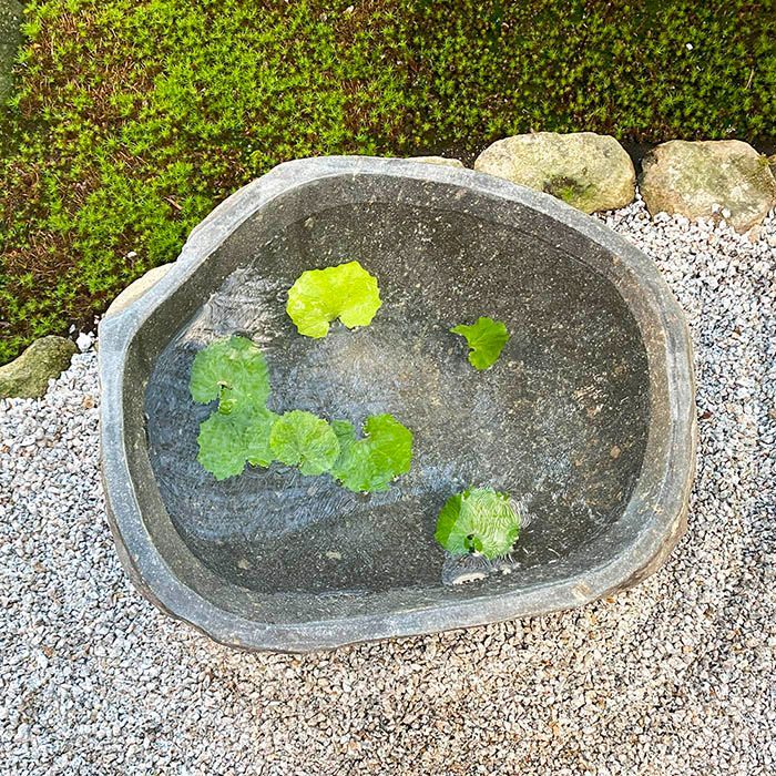 睡蓮鉢 石 大型 おしゃれ 庭 つくばい 手水鉢 蹲 水鉢 メダカ鉢
