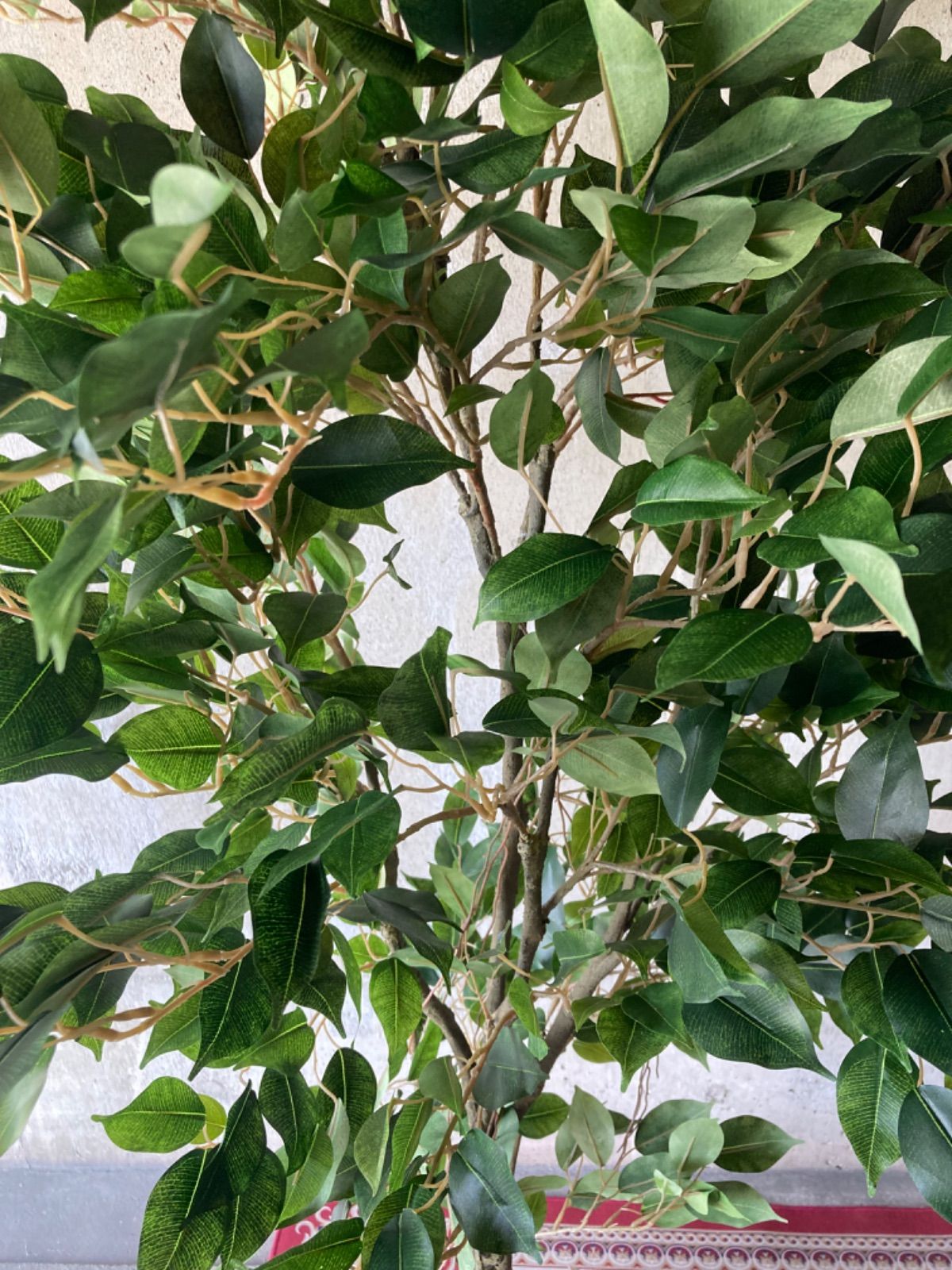 光触媒 人工観葉植物 ウォールグリーン フェイク ベンジャミンフィカス