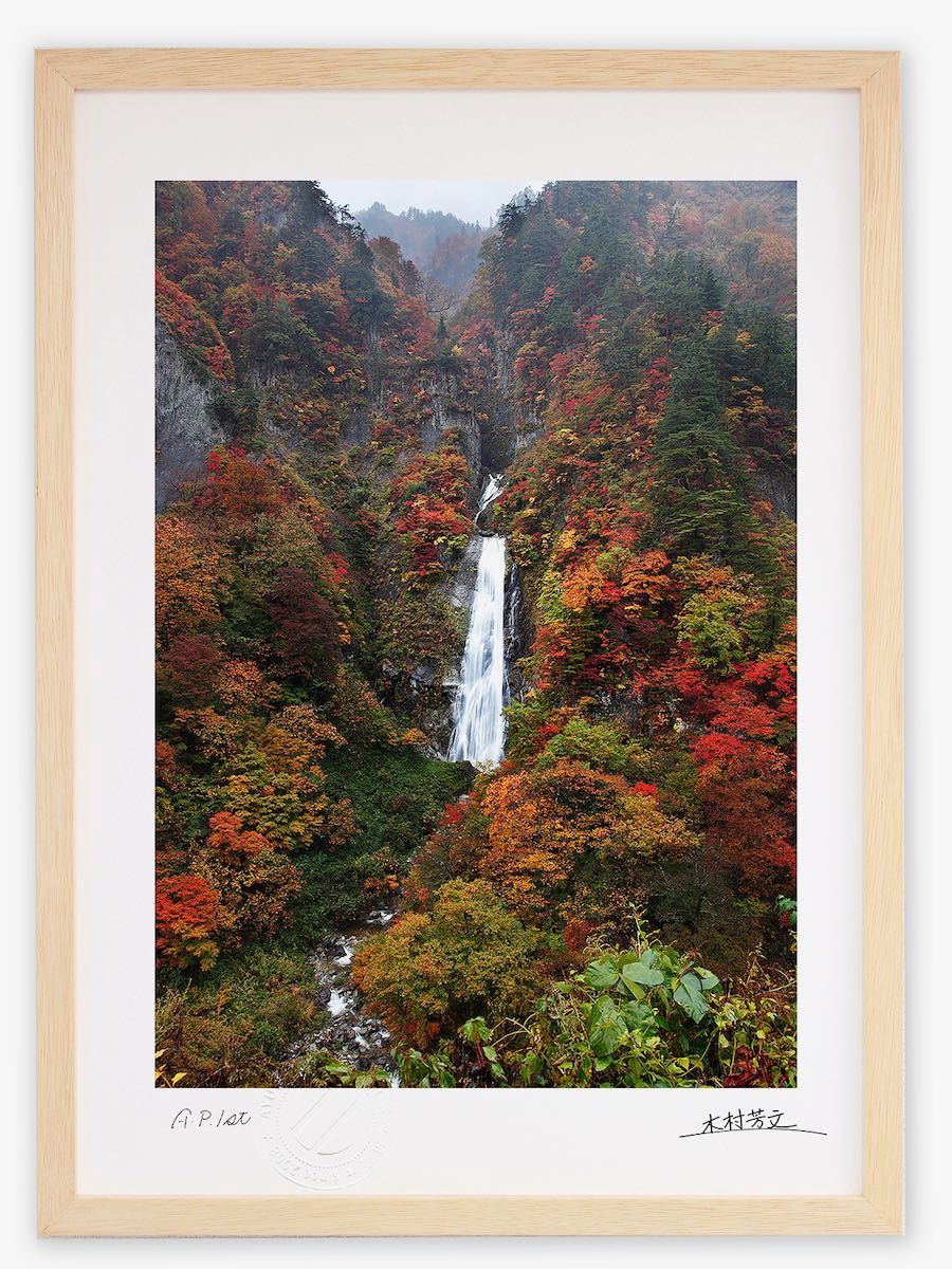 版画 絵画 サボテンリース(スミコ スコット)/インテリア 額入り 額装込