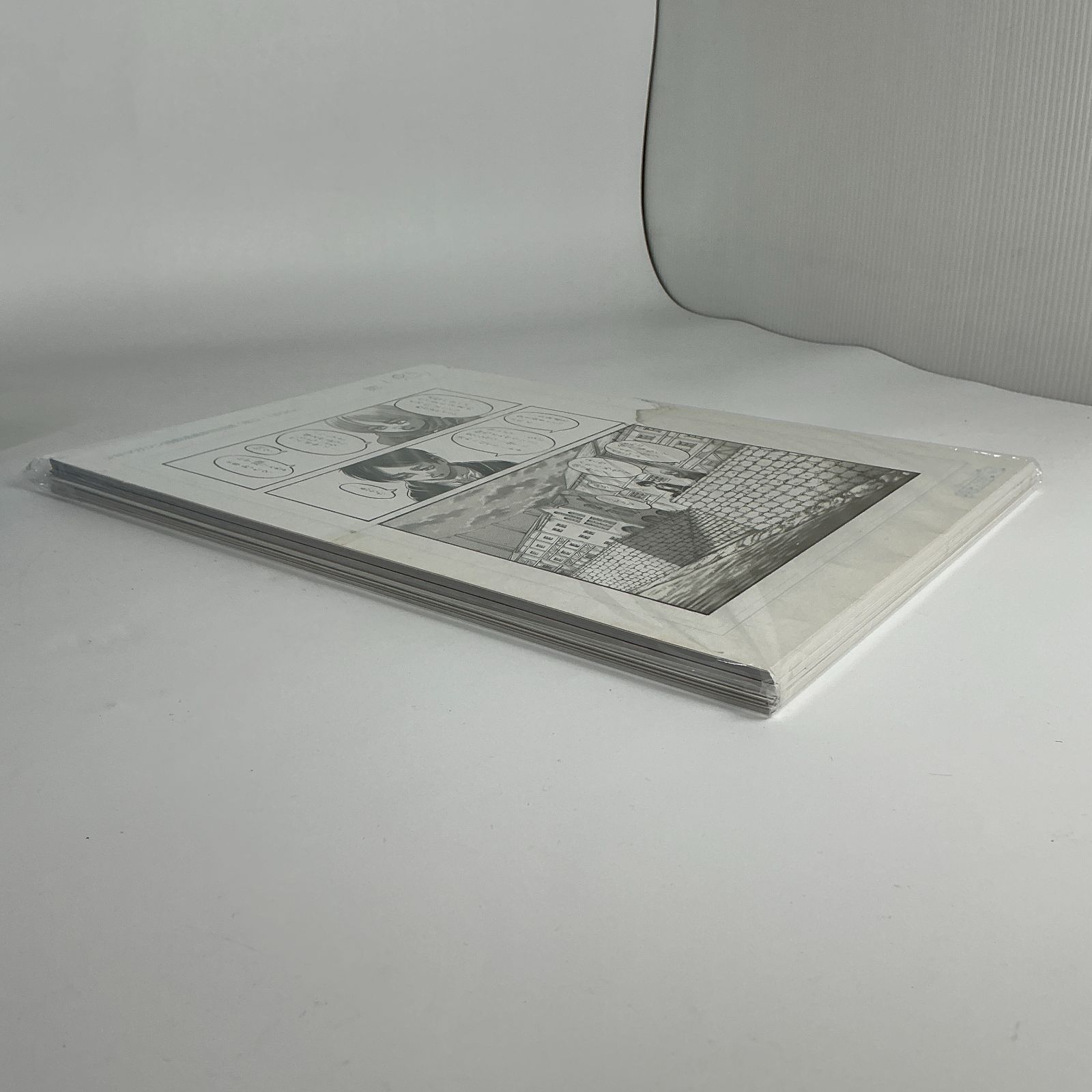 進撃の巨人 画集 FLY 諫山創 進撃の巨人 35巻 超精巧複製原画 ミカサの