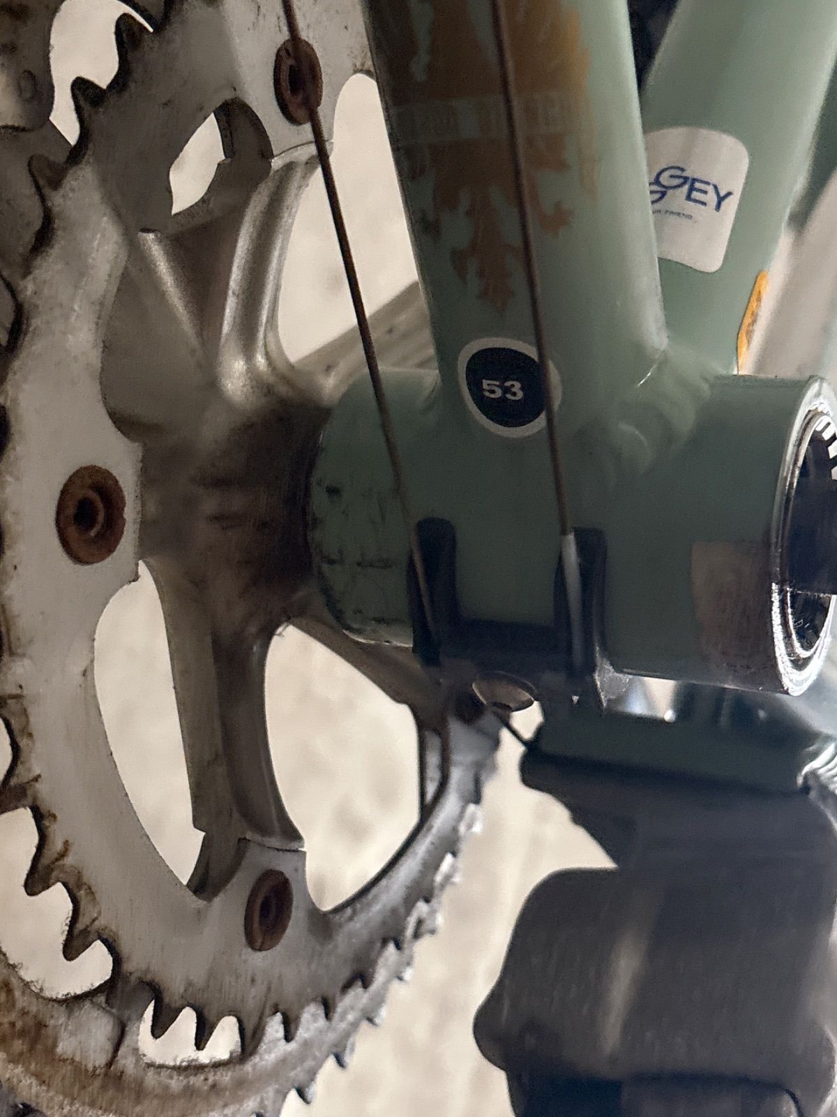 超希少】ビアンキ ミニベロ8 Lepre 絶版品 53サイズ