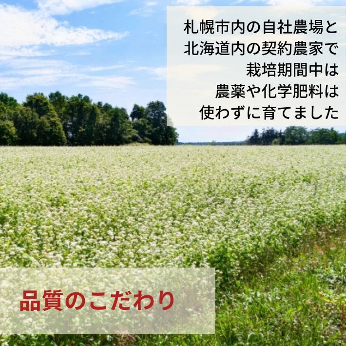 お茶 そば茶 韃靼そば茶 だったんそば茶 蕎麦茶 水出し 冷茶 北海道産 100% ノンカフェイン ルチン 国産 500g