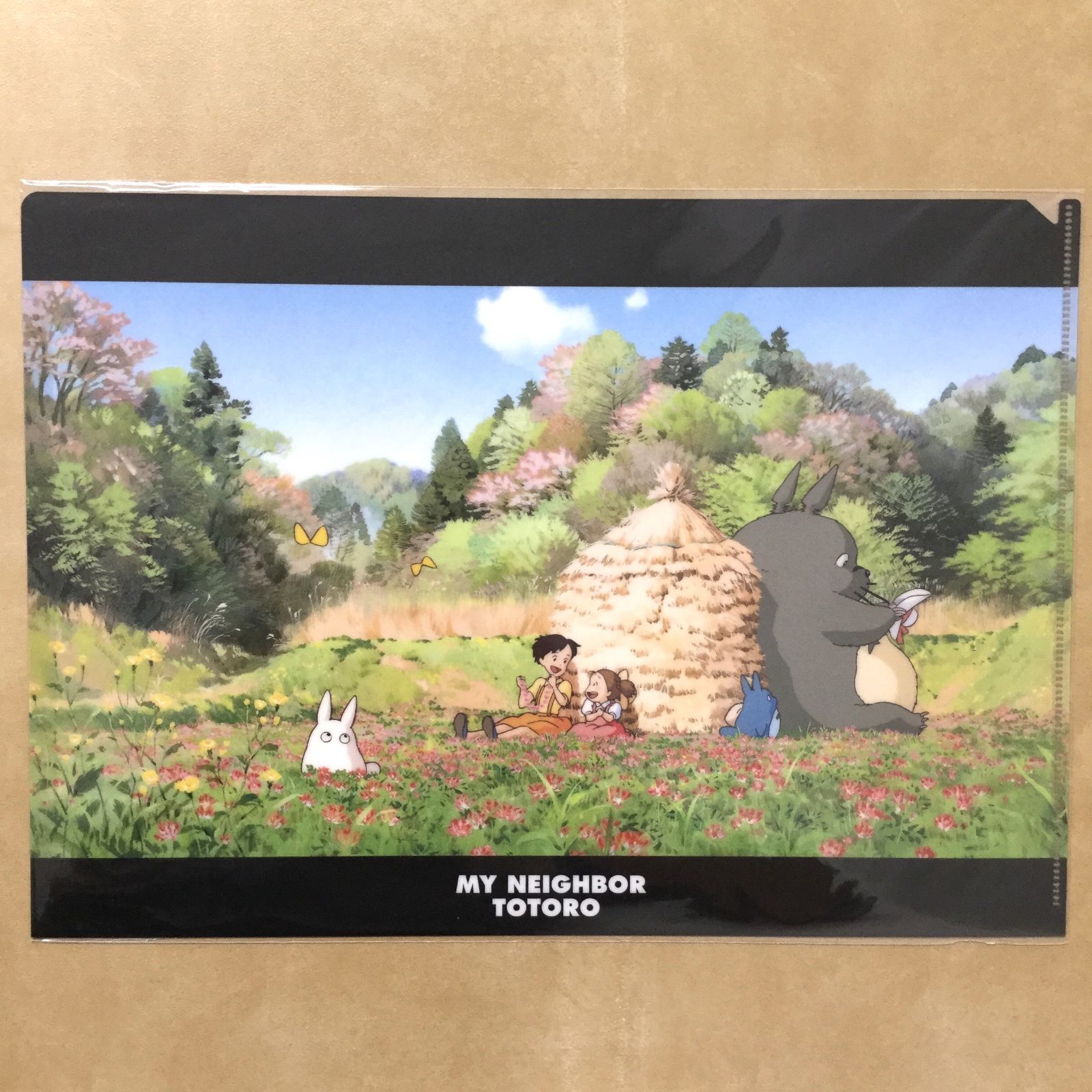 j314【新品・未使用品】となりのトトロ A4クリアファイル 2点