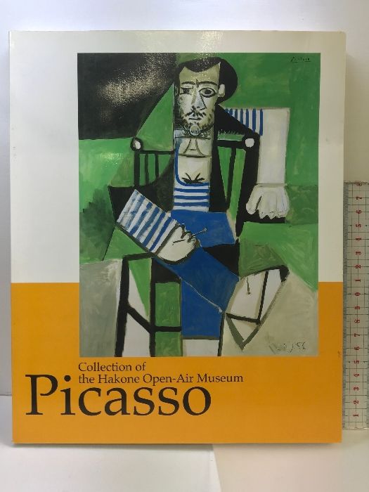 Picasso and the Age of Iron (ピカソ鉄彫刻作品集) Picasso and the Age of Iron (ピカソ鉄彫刻作品集)