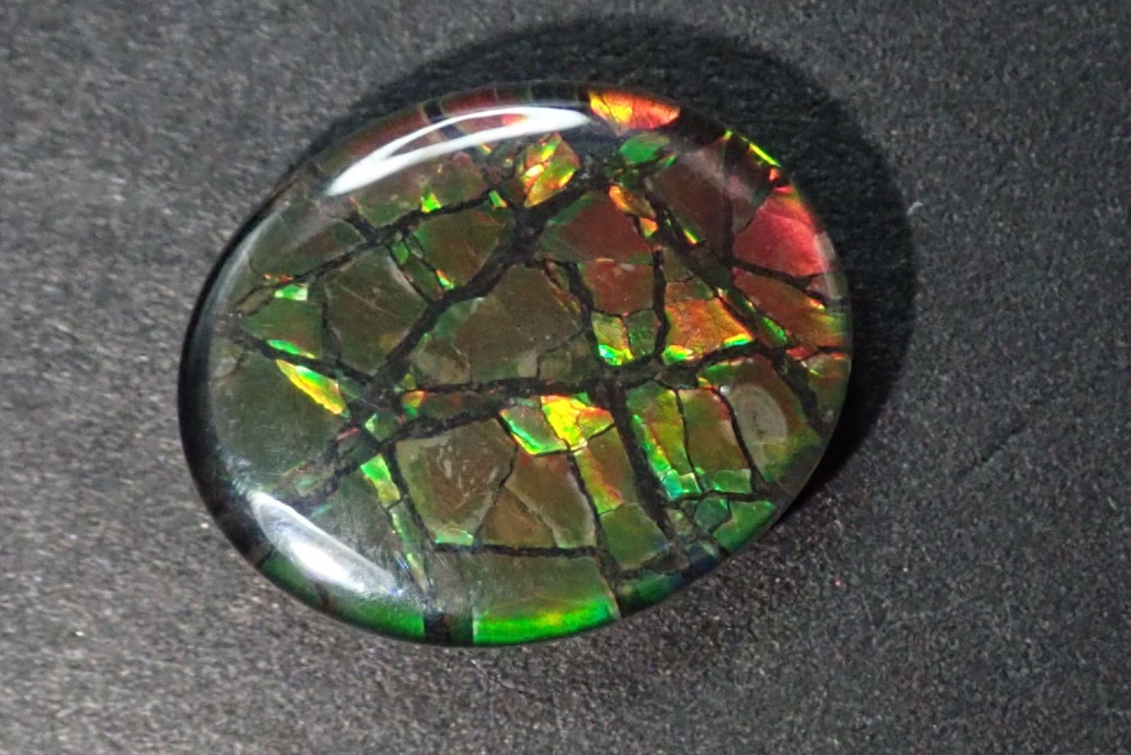 天然アンモライト ルース