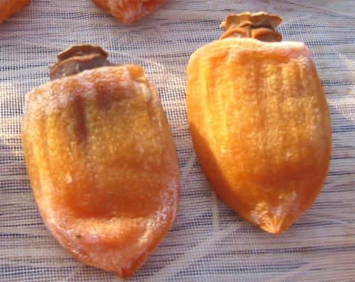 山梨産枯露柿 （特2Lサイズ16個）化粧箱入 ※12/22頃発送