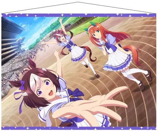 タペストリー　スペシャルウィーク＆サイレンススズカ＆トウカイテイオー 描き下ろしB1タペストリー 「Blu-ray ウマ娘 プリティーダービー ウマ箱 トレーナーズBOX」 とらのあな全巻購入特典 中古】タペストリー スペシャルウィーク＆サイレンススズカ
