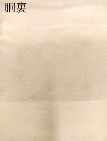 平和屋着物□上質な色無地 虹色 正絹 逸品 BAAO3645bs 平和屋着物