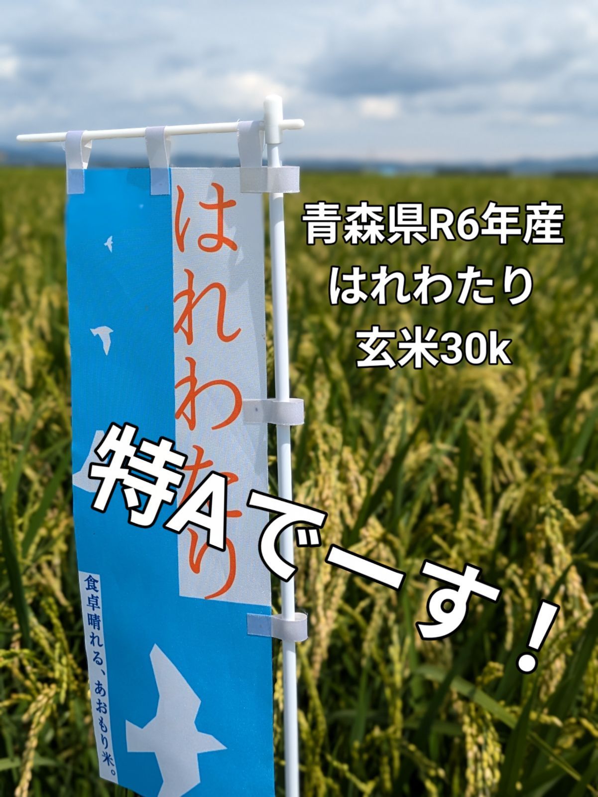 青森県R6年産はれわたり玄米30k