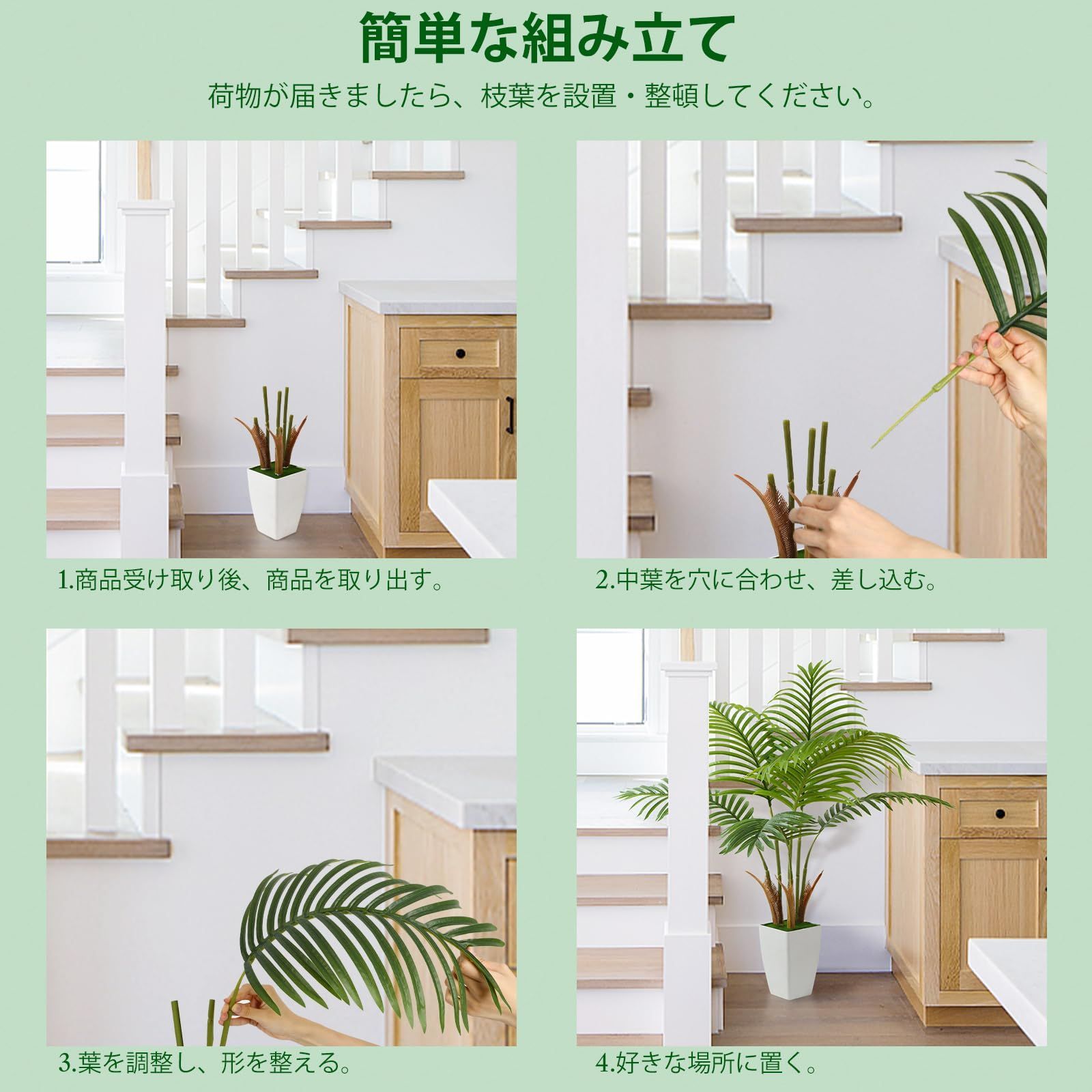 熱帯のヤシの木 空気清浄