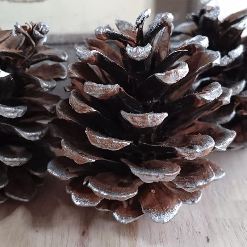 シルバー タカラ塗料