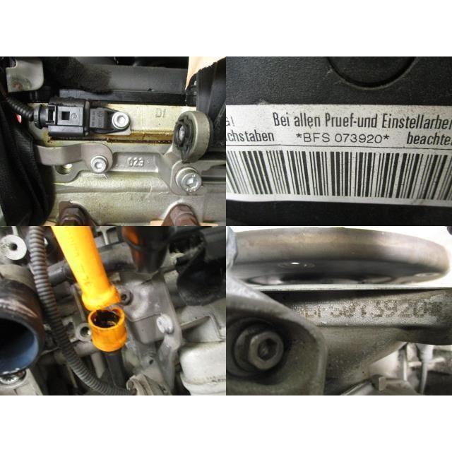 ニュービートル