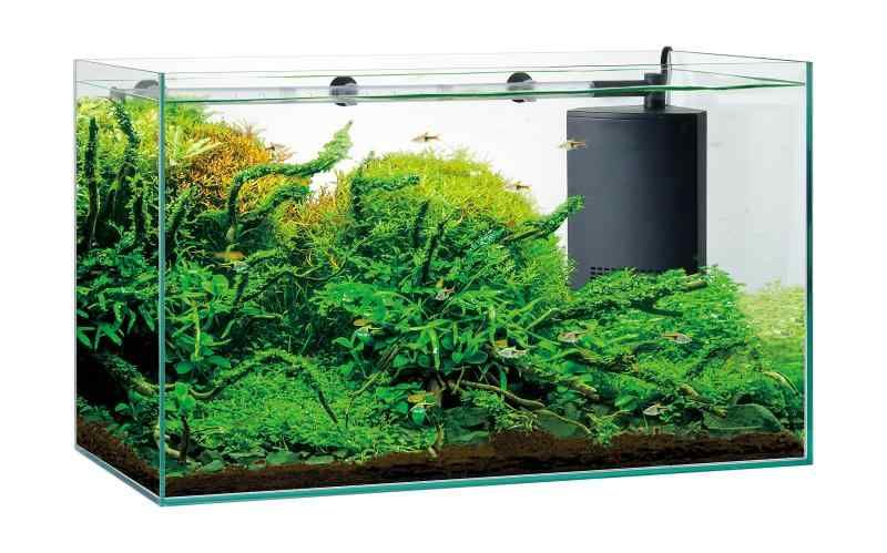 AQUARIUM グラステリアサイレント600ST