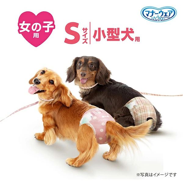 ピンクチェック