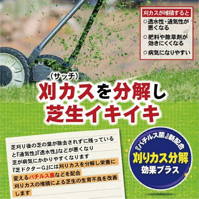 ケース販売