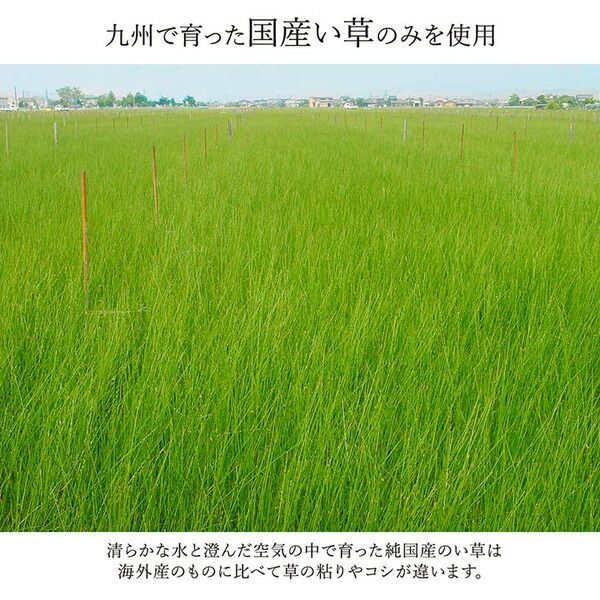 日本製 抗菌