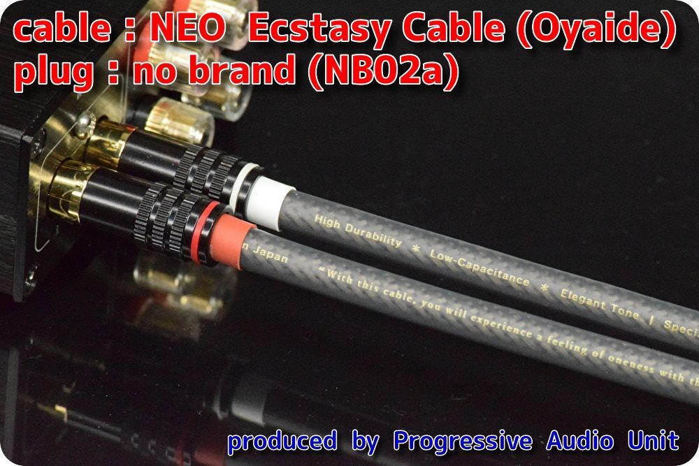 ☆ NEO Ecstasy Cable＋RCA（NB02a）/45cm×2本 - メルカリ