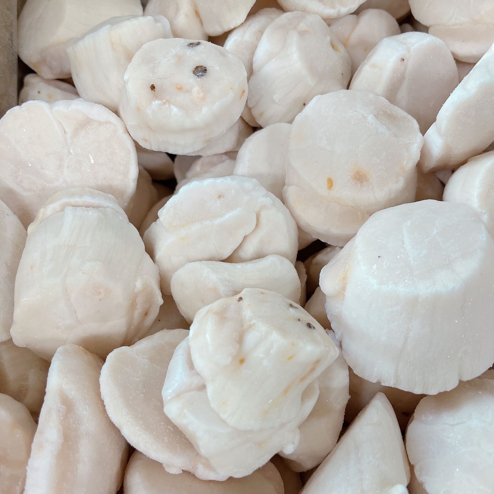 【訳あり】大玉入 北海道産 ホタテ貝柱500g＋300gオマケ-5