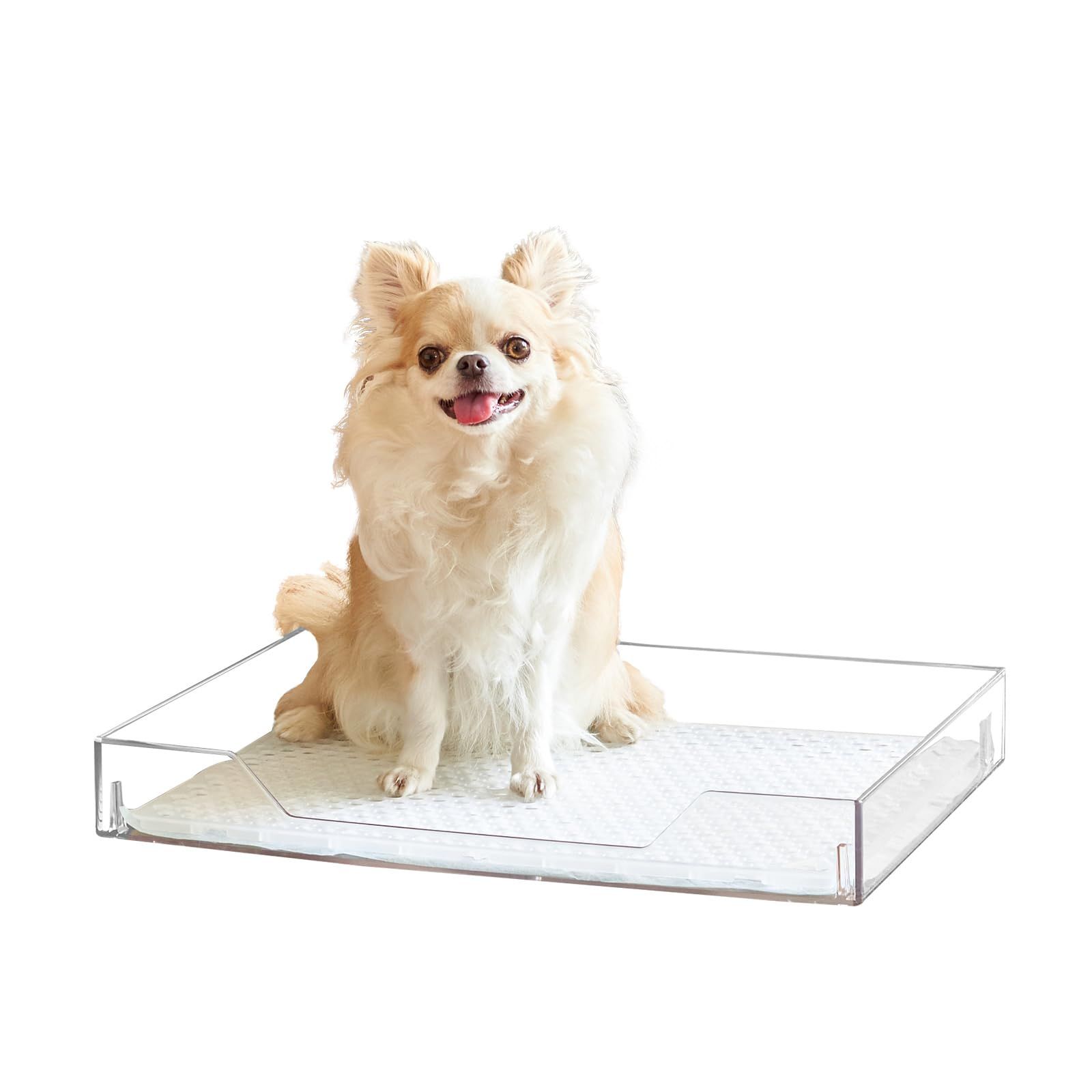 OFT クリアレット2 S フルセット レギュラーシーツサイズ 本体 トイレ トイレトレー 犬 おしっこ ペット トレー レギュラー メッシュ トレーニング シート 簡単 飛び散る はみ出す 囲う 飛散 メッシュ