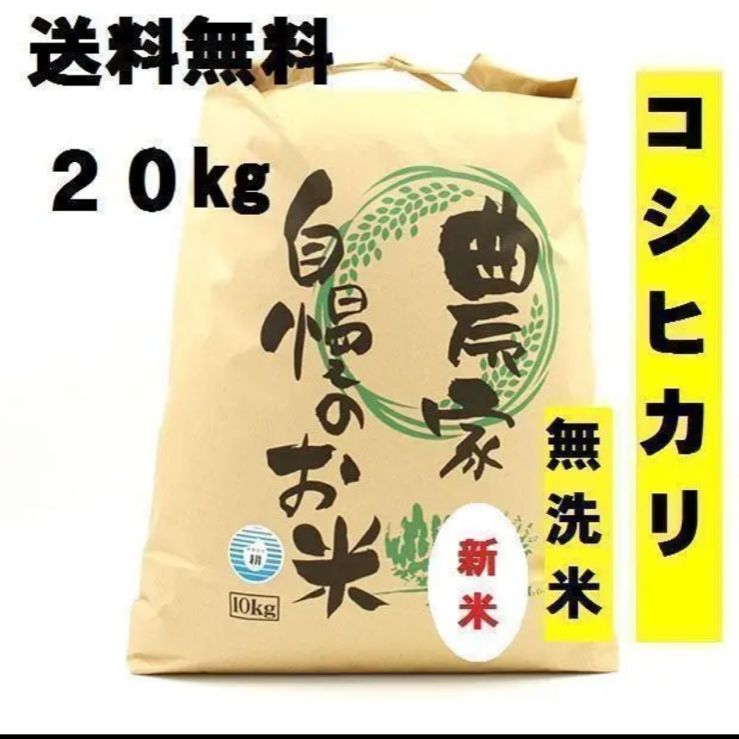 無洗米 20kg コシヒカリ 新米 栃木県産 令和5年産 送料無料 米 20キロ ...