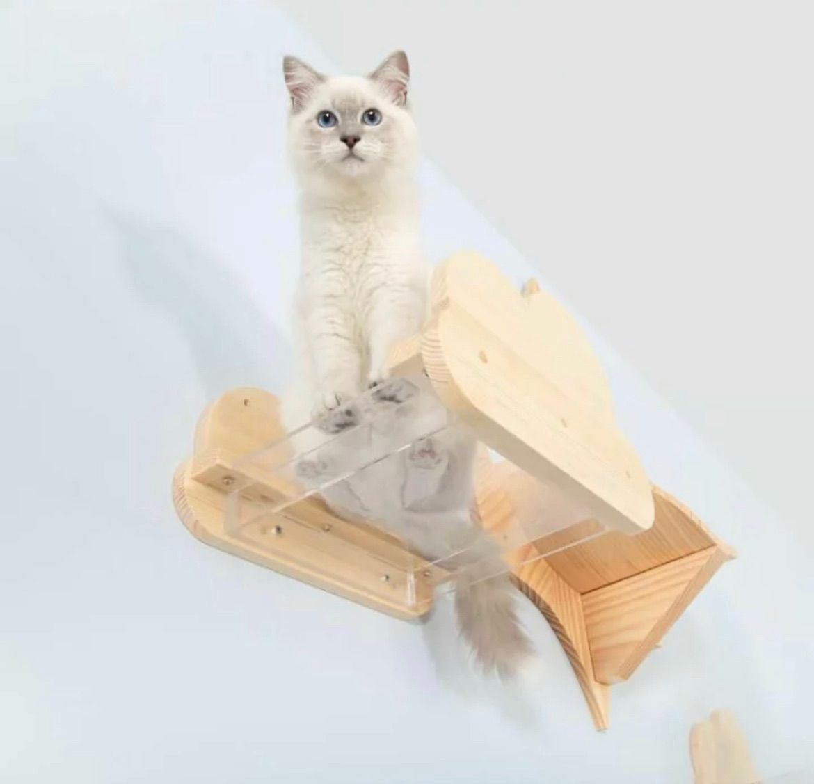 MYZOO マイズー モク MOKU 透明キャットステップ キャット